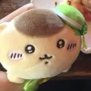 しましまの画像