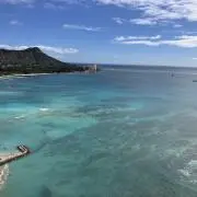おたぬの画像