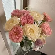 ❤︎ruru❤︎の画像