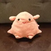 メンダコ