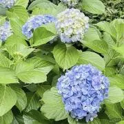 K【断捨離中‼️まとめ購入で値下げ⭕️】の画像