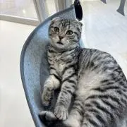 結愛の画像