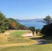 ディーノの画像