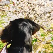 みつの画像