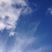 がちゃの画像