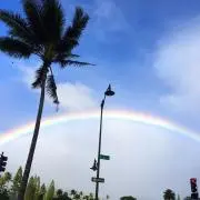 あおの画像