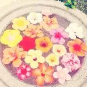 ゆん♪の画像