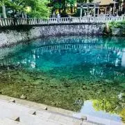 kyoroの画像