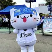 こちゃっきー