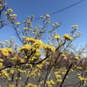 △ 【プロフご一読下さい】の画像