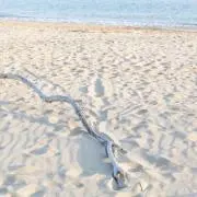 DriftWoodStyleの画像