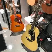 アボカドの画像