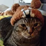 ユーキの画像