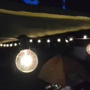 tamayoの画像