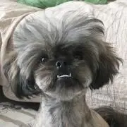 あんどん