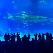 Demi777の画像