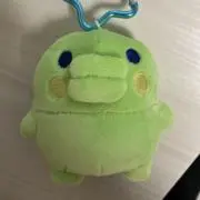 りおっちの画像