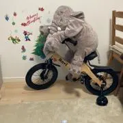 kyanaeの画像