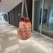 たまねぎの画像