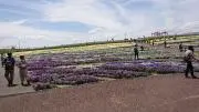 えな　☆☆プロフ読んでください☆☆の画像