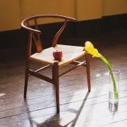 sacha_.の画像