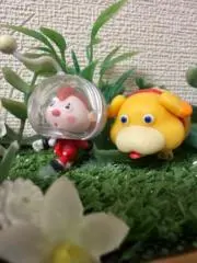 もももの画像