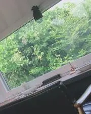 min＆minの画像