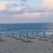 かわむらの画像