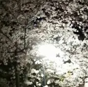 おーたろ♪プロフ必読♪の画像