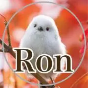 Ron★おまとめ割引の画像