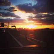 Mの画像