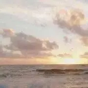 ルカの画像