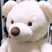 くまきちの画像