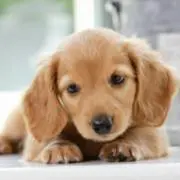 売切目標♡Meの画像