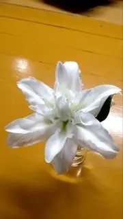 長月の画像