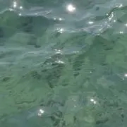 じの画像