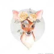 みかん
