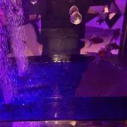 よこちんの画像