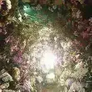 聖の部屋[プロフ必読］の画像