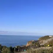 きのの画像