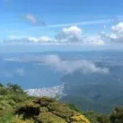 まさ やん
