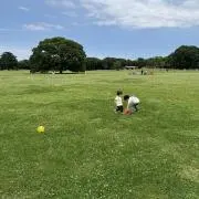 ひかるんの画像