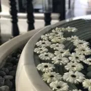 Happy Tokyoの画像