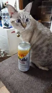 うゆちゃんの画像