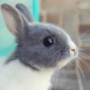 らいらい プロフ必読お願いします