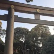 tonnnの画像
