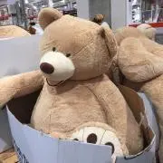 tazuの画像