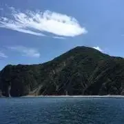 MK 358の画像