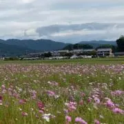 めいの画像