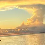 kymの画像